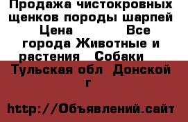 Продажа чистокровных щенков породы шарпей › Цена ­ 8 000 - Все города Животные и растения » Собаки   . Тульская обл.,Донской г.